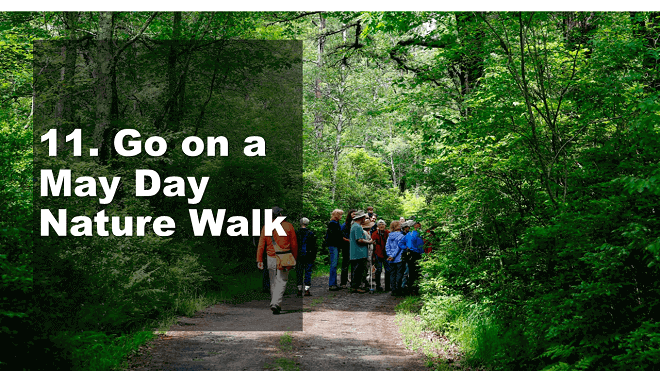 Go on a May Day Nature Walk - How to Celebrate May Day - Mr. BD Guide