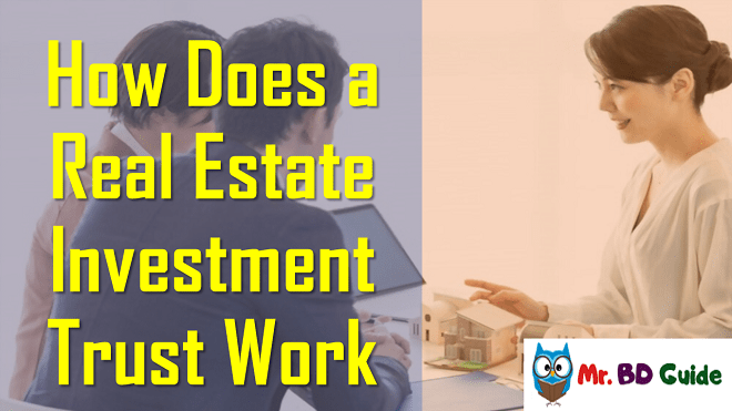 How Does a Real Estate Investment Trust Work Featured Image - Mr. BD Guide